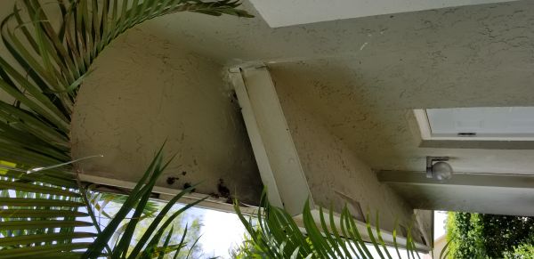 20180719_140552.jpg