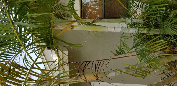 20180719_140600.jpg