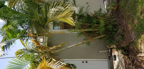 20180719_140618~0.jpg