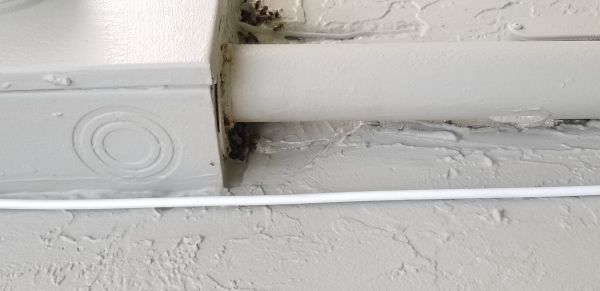 20180719_194847.jpg