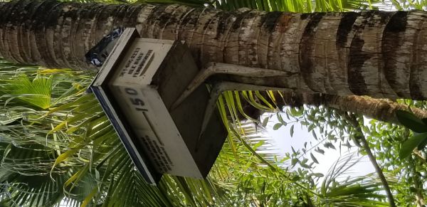 20180723_183213.jpg