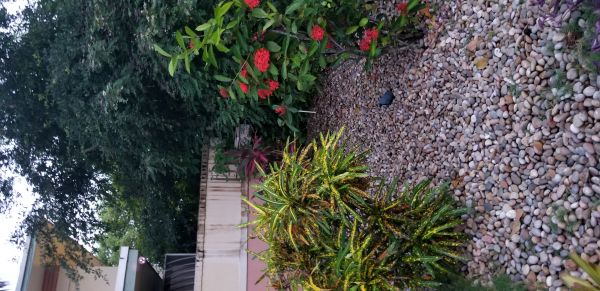 20180724_202025.jpg