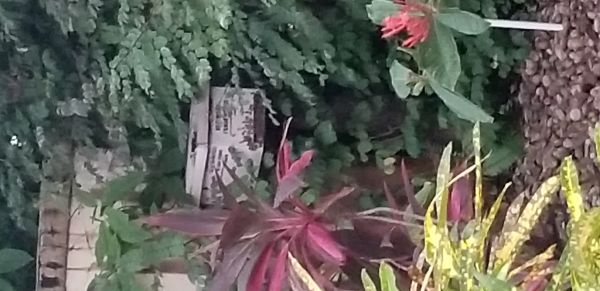 20180724_202034.jpg