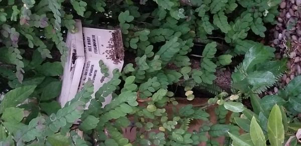 20180724_202053.jpg