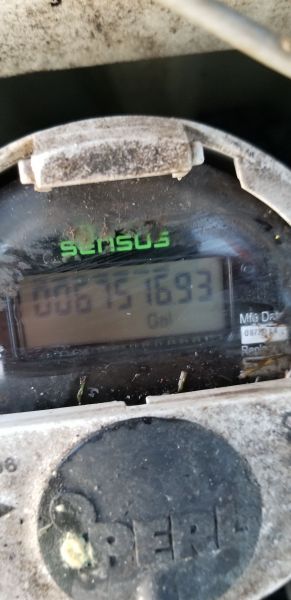 20180725_064638.jpg