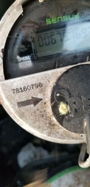 20180725_064645.jpg