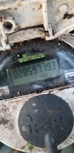 20180725_064700.jpg