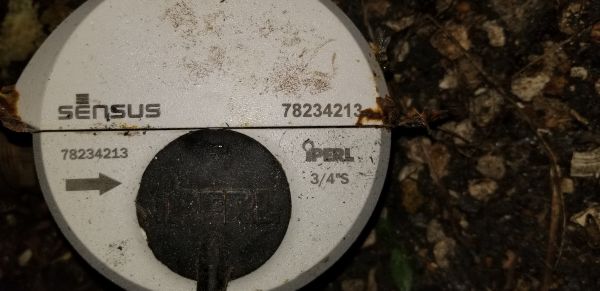 20180725_204625.jpg