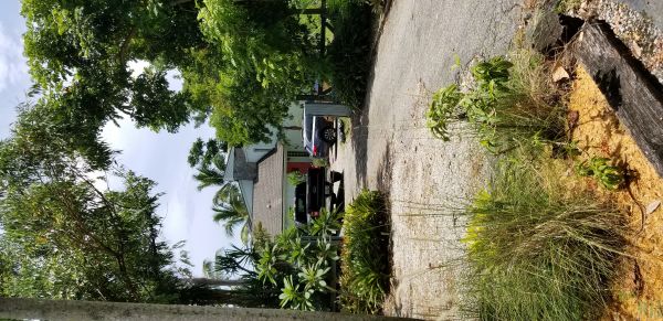 20180728_130014.jpg