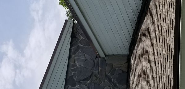 20180728_130044.jpg