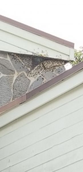 20180728_130054~0.jpg