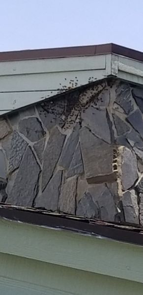 20180728_130123~0.jpg