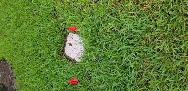 20180730_150335.jpg