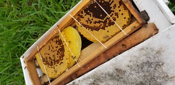 20180730_151303.jpg