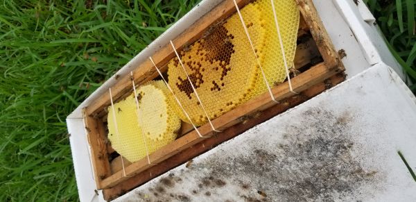 20180730_151721.jpg