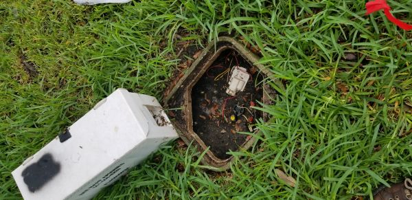 20180730_153814.jpg