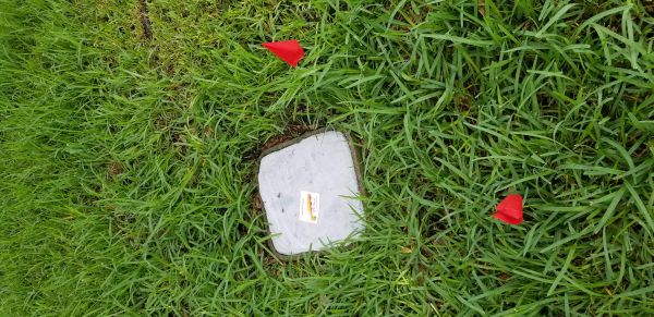 20180730_154828.jpg