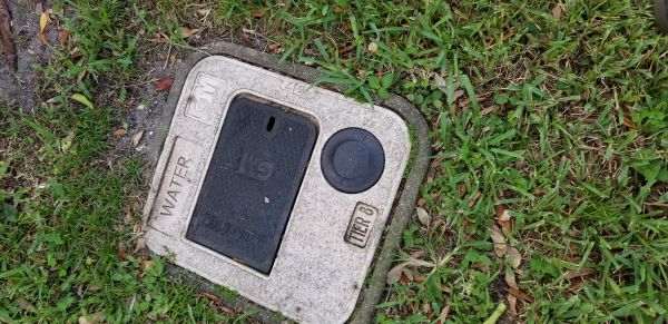 20180731_192138.jpg