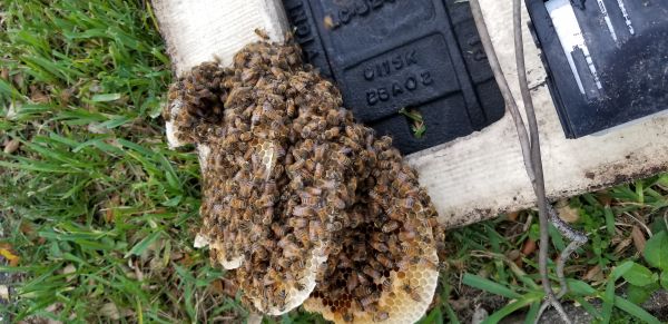 20180731_192337.jpg