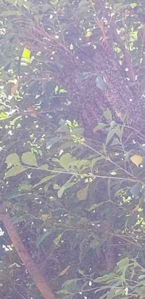 20180802_125628~0.jpg