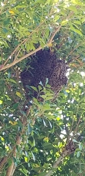 20180802_125703~0.jpg