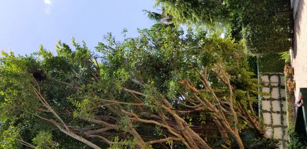 20180802_125709.jpg