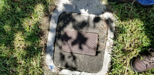 20180802_142354.jpg