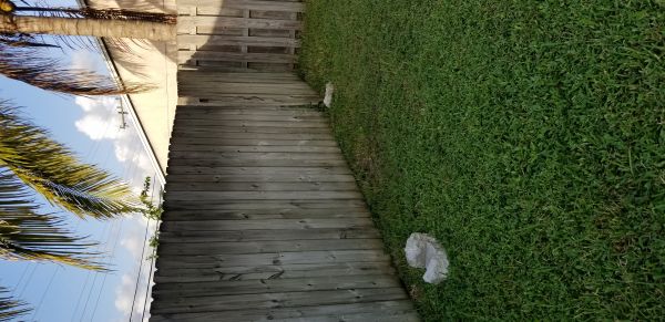 20180807_185559.jpg