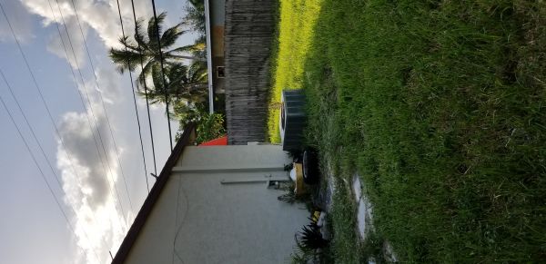 20180807_185612.jpg