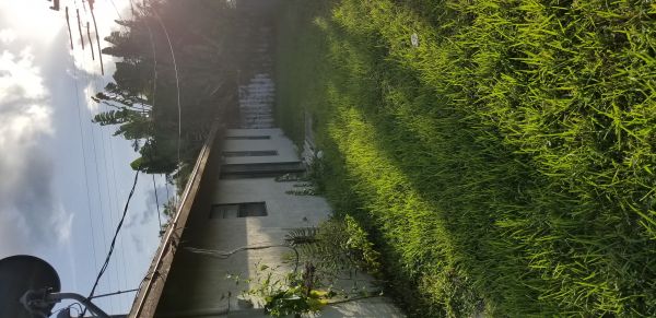 20180807_185634.jpg