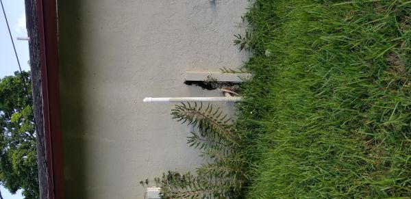 20180807_185732.jpg