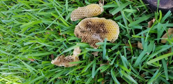 20180808_100309.jpg