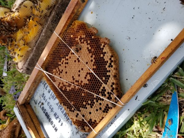 20180808_130215.jpg