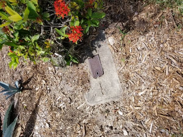 20180808_145654.jpg