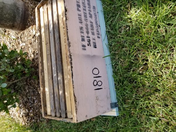 20180808_151433.jpg