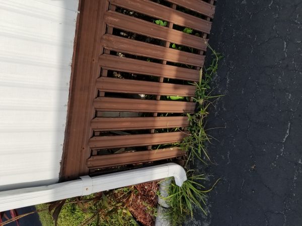 20180808_185836.jpg
