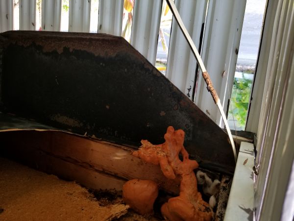 20180808_185902.jpg