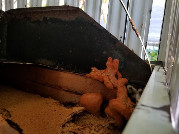 20180808_185919.jpg