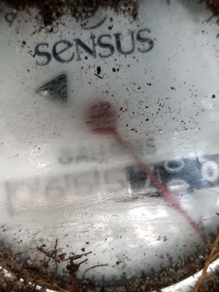20180809_165316.jpg