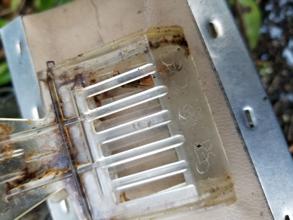 20180809_190232.jpg