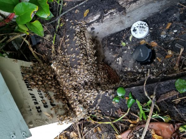 20180809_190715.jpg