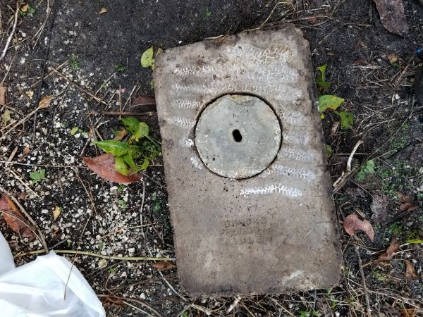 20180809_191210.jpg