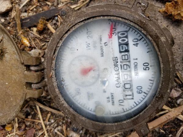 20180810_115351.jpg