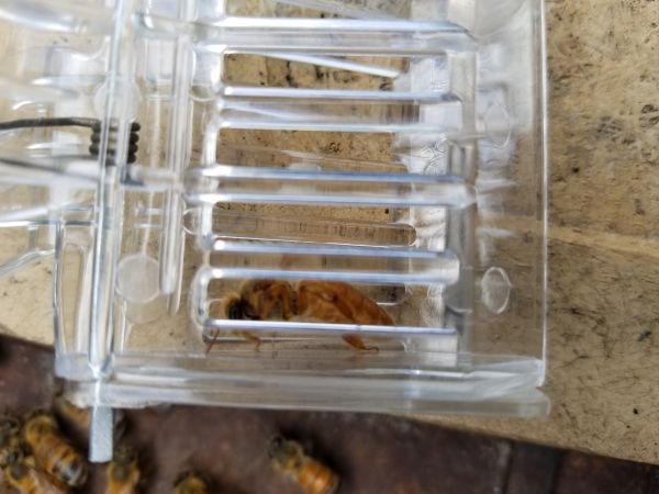 20180810_115804.jpg