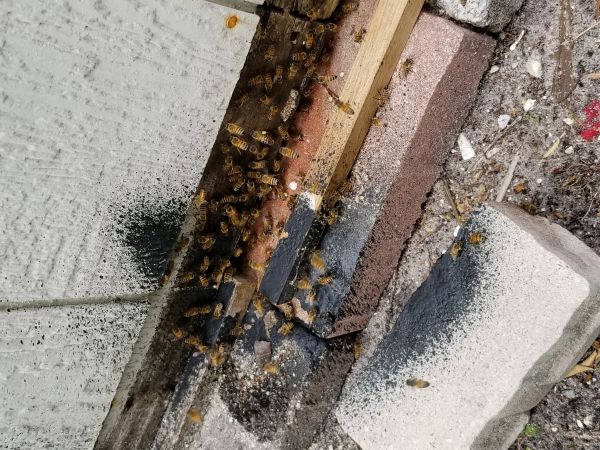 20180814_152335.jpg
