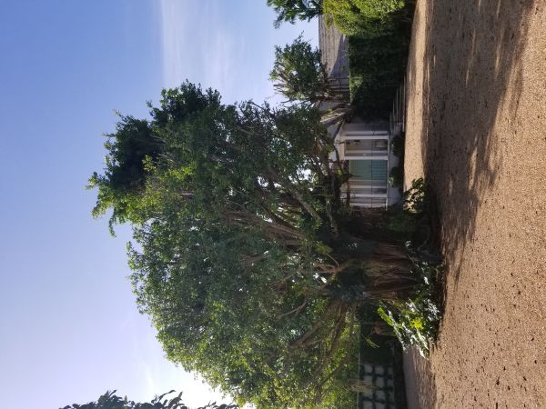 20180815_085423.jpg