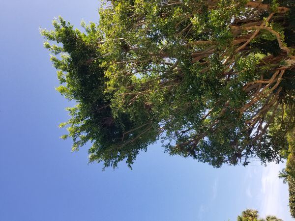 20180815_085650.jpg