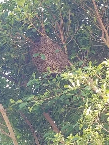 20180815_085656~0.jpg
