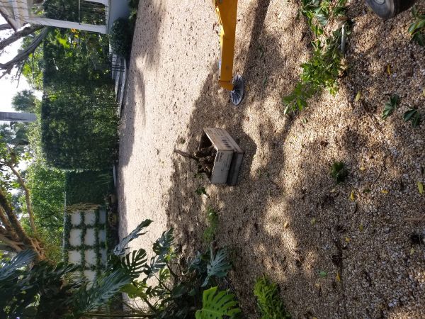 20180815_095909.jpg