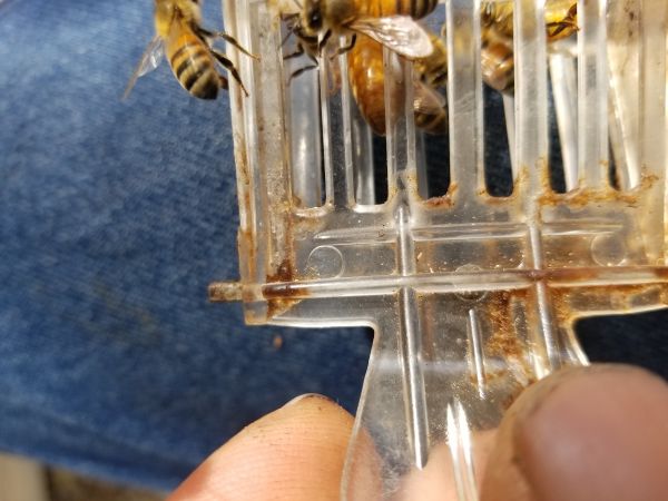 20180815_101655.jpg